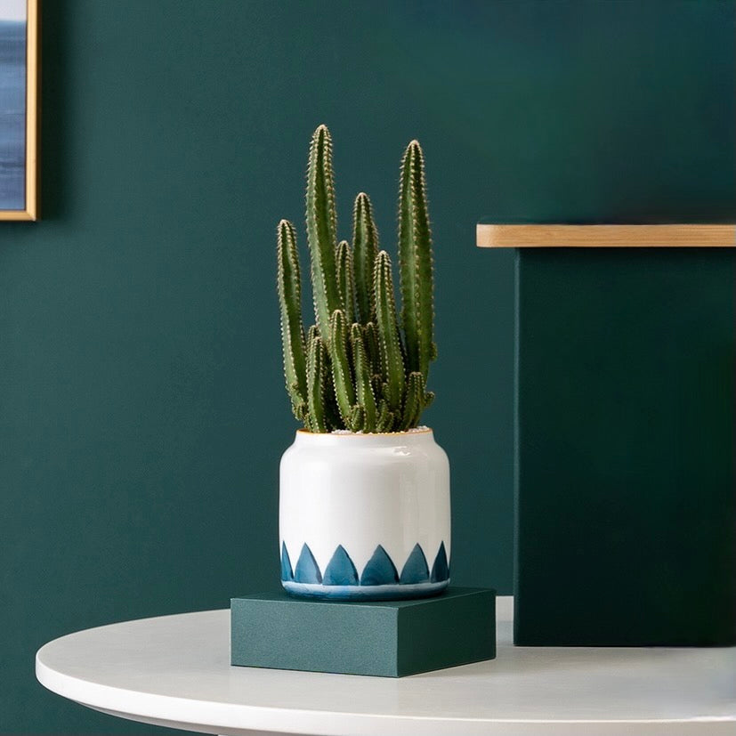 Teal & White Ceramic Planter