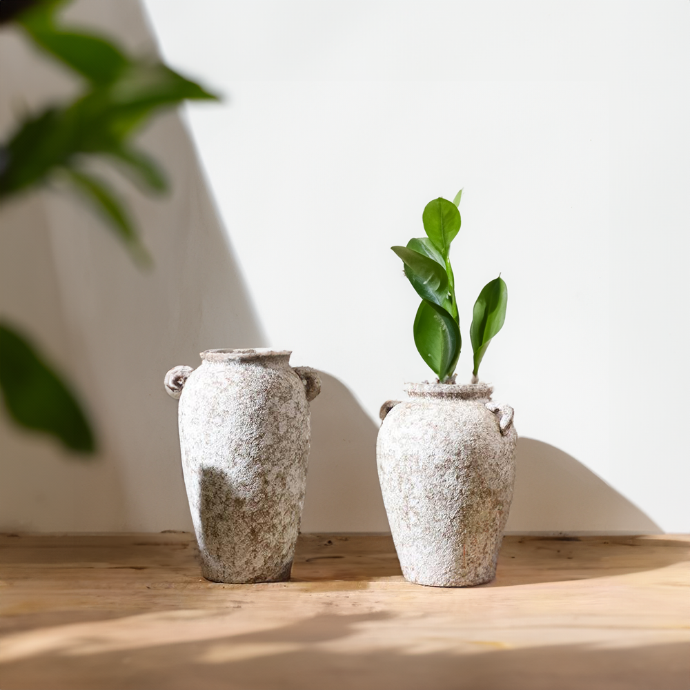 Ceramic vases