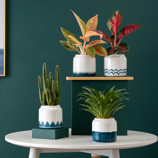 Teal & White Ceramic Planter