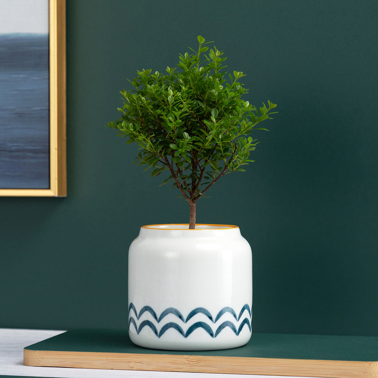 Teal & White Ceramic Planter